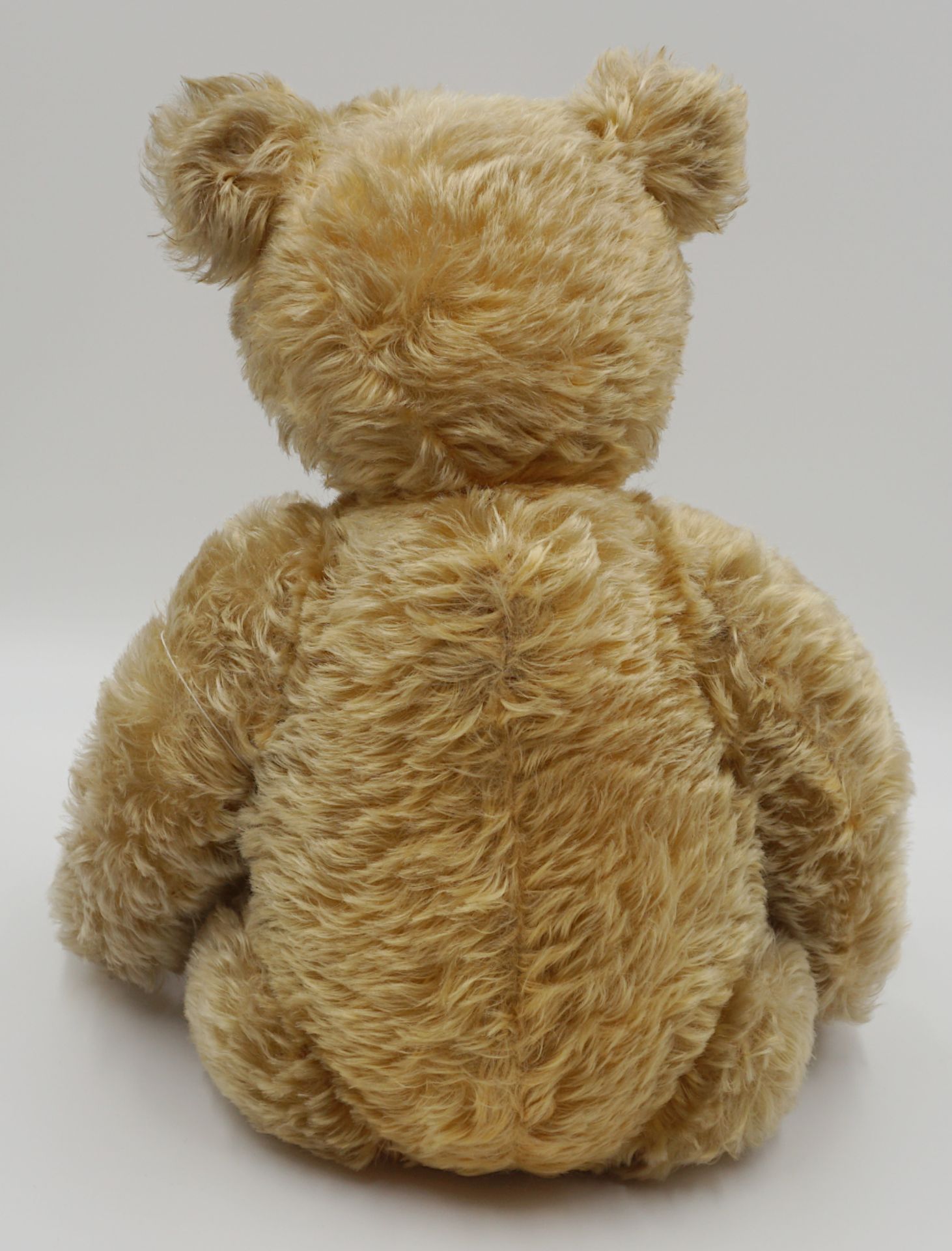 1 Teddybär STEIFF honigbraunes Mohair, vor ca. 1952 - Bild 3 aus 5