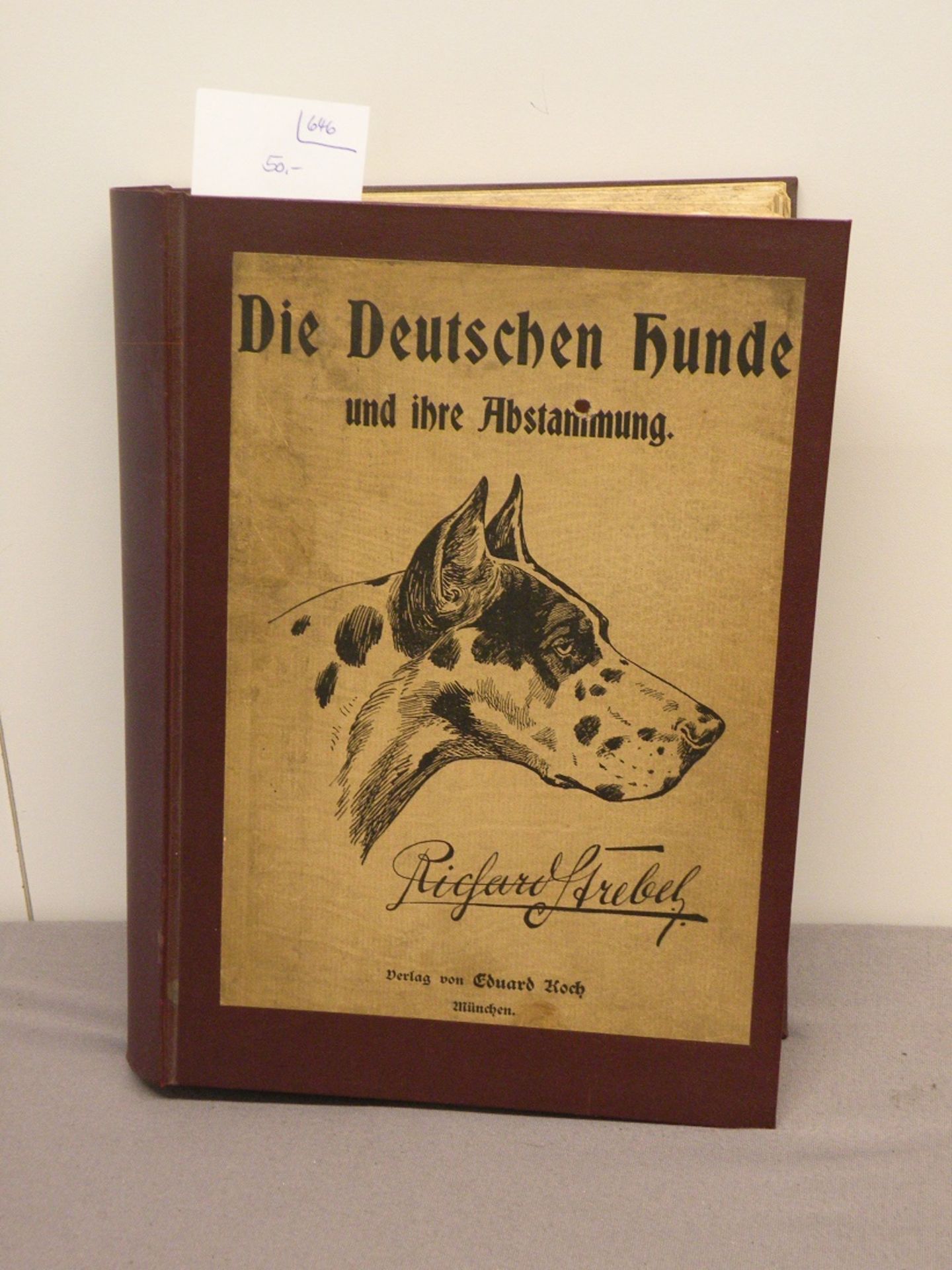 Buch Hunde