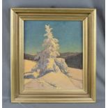 Degen, Karl (19./20. Jahrhundert) "Verschneiter Baum", wohl im Schwarzwald, links unten signiert, Öl