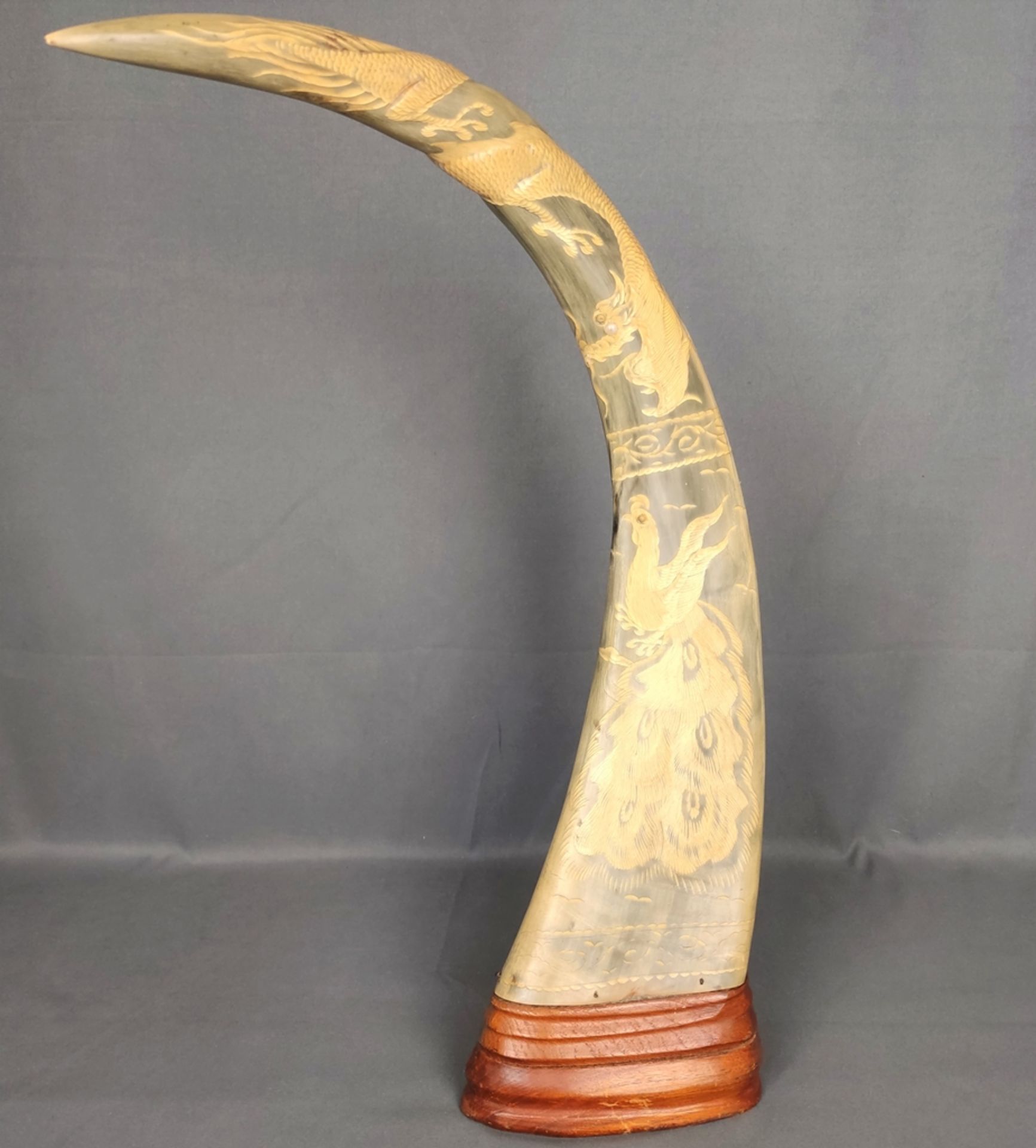 Large water buffalo horn, carved with dragon and phoenix, mounted on wooden base, China, 20th centu