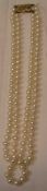 Doppelreihige Perlenkette. Goldverschluss 14 Kt., Länge: 44cm.