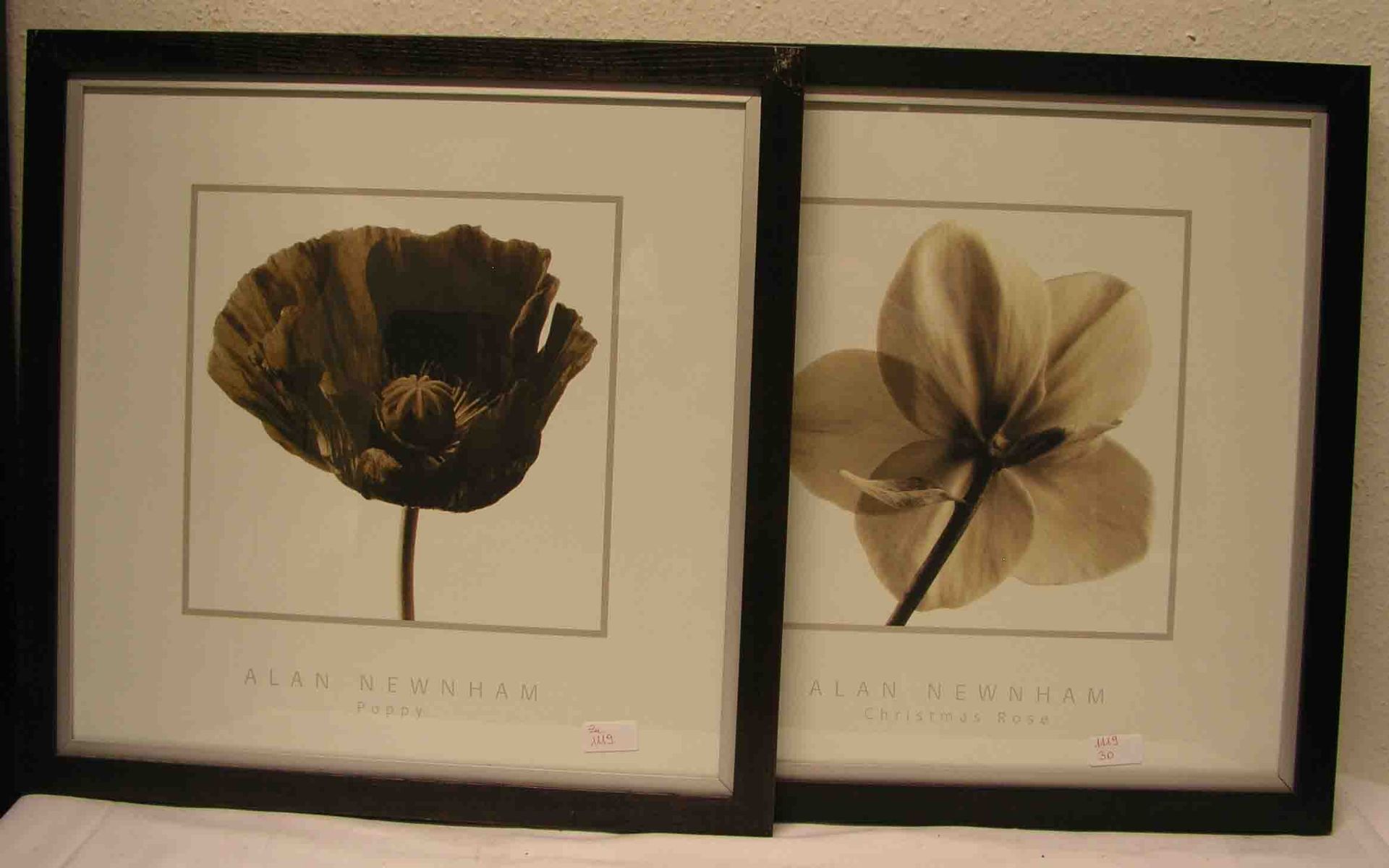 "Blumen". Drei Blatt Farbdrucke. 30 x 30cm. Rahmen mit Glas.