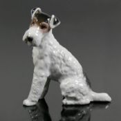 Terrier (Rosenthal, 1.H.20.Jh.) in