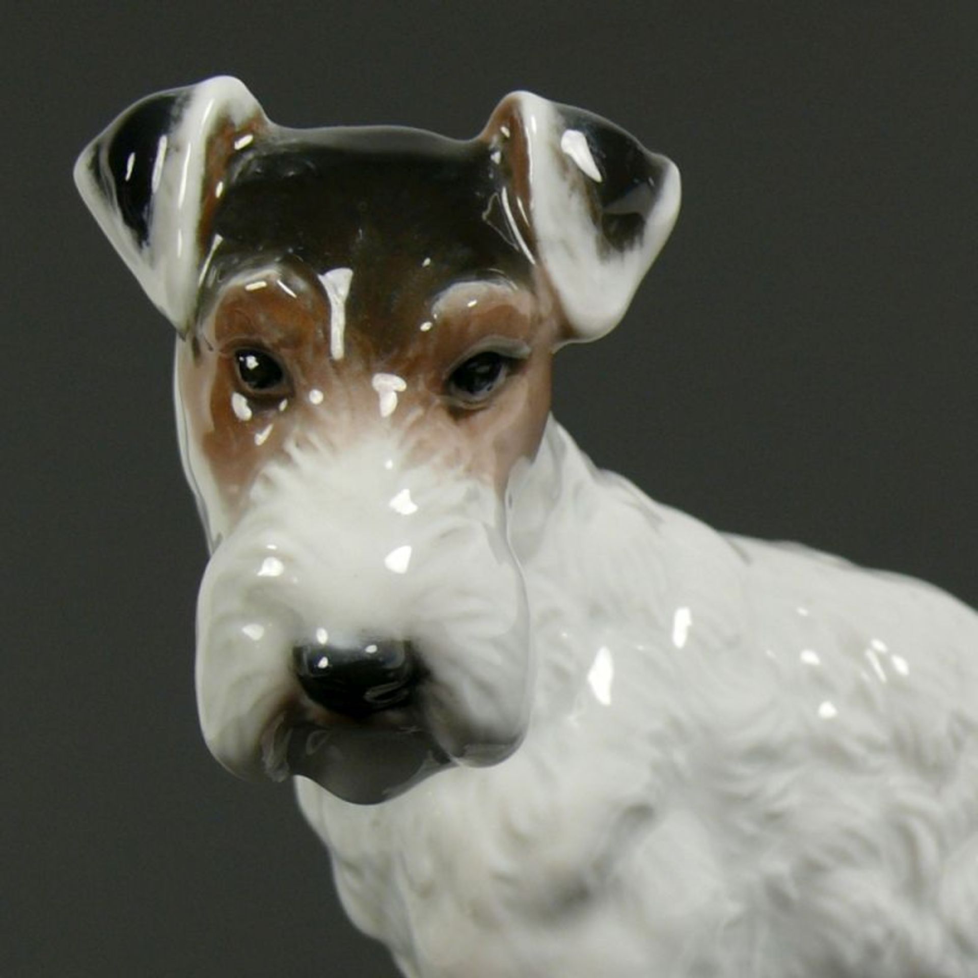 Terrier (Rosenthal, 1.H.20.Jh.) in - Bild 6 aus 7