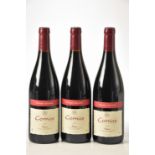 Cornas Patou Domaine Dumien-Serrette 2010 3 bts