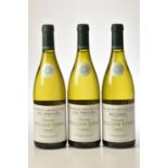 Chablis Grand Cru les Preuses 2018 Domaine William Fevre 2 bts Chablis Grand Cru Bougrot Cotes Bouge