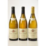 St Joseph Blanc Les Oliviers 2009 Domaine Gonon 2 bts St Joseph Blanc Les Oliviers 2011 Domaine Gono