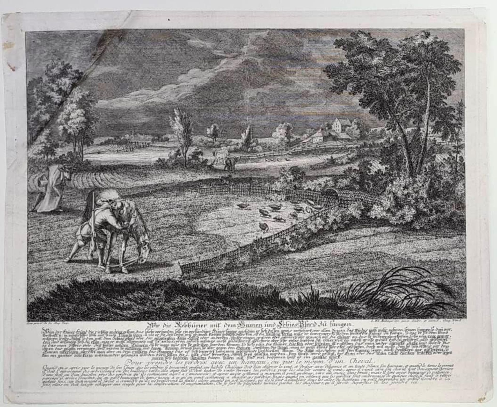 Johann Elias Ridinger, (1698 Ulm - 1767 Augsburg.) 2 Jagd Kupferstiche von 1729 - Bild 3 aus 3