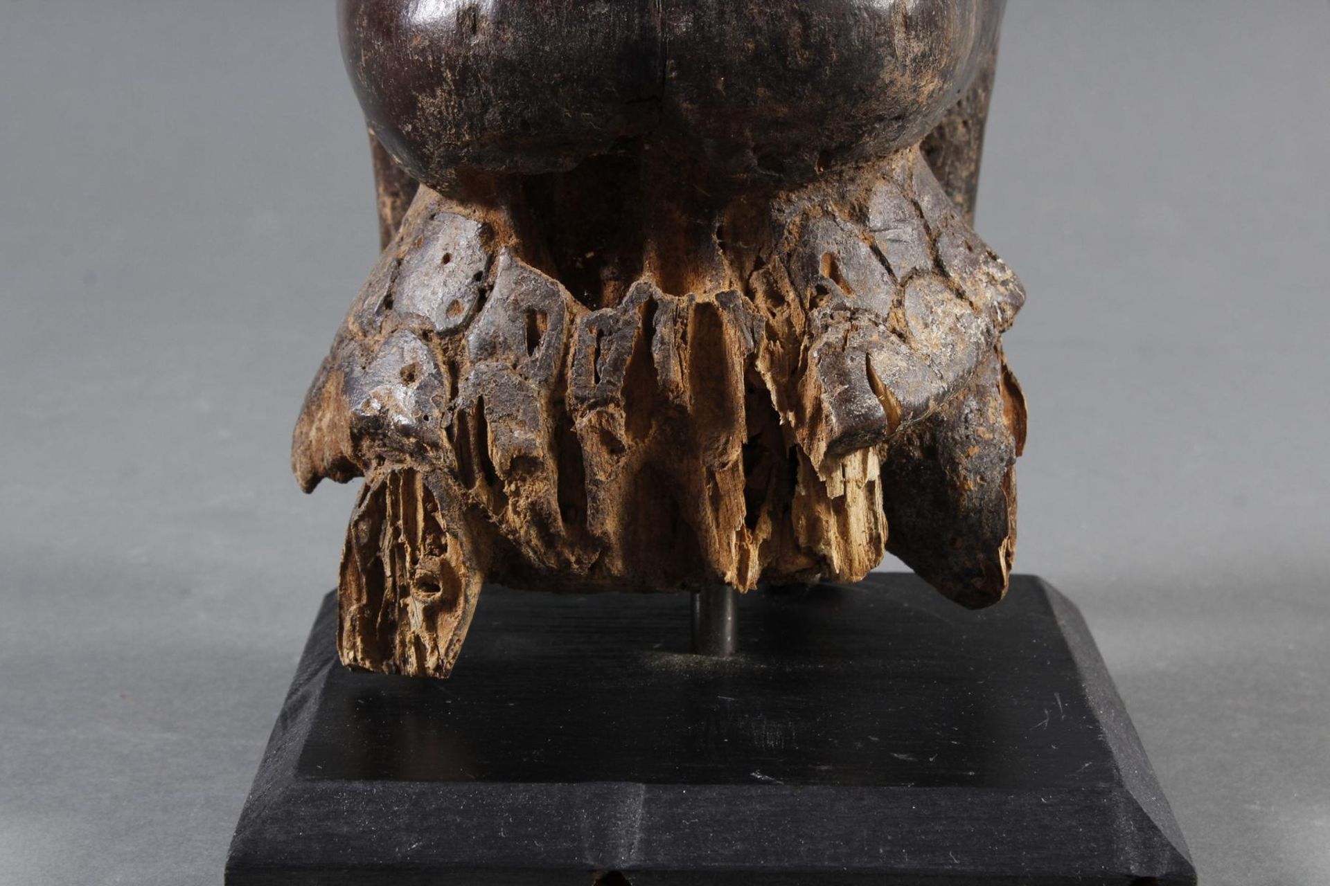 Auf einer Schildkröte sitzende Ritualfigur (Fragment) der Bembe / Kongo - Bild 5 aus 9