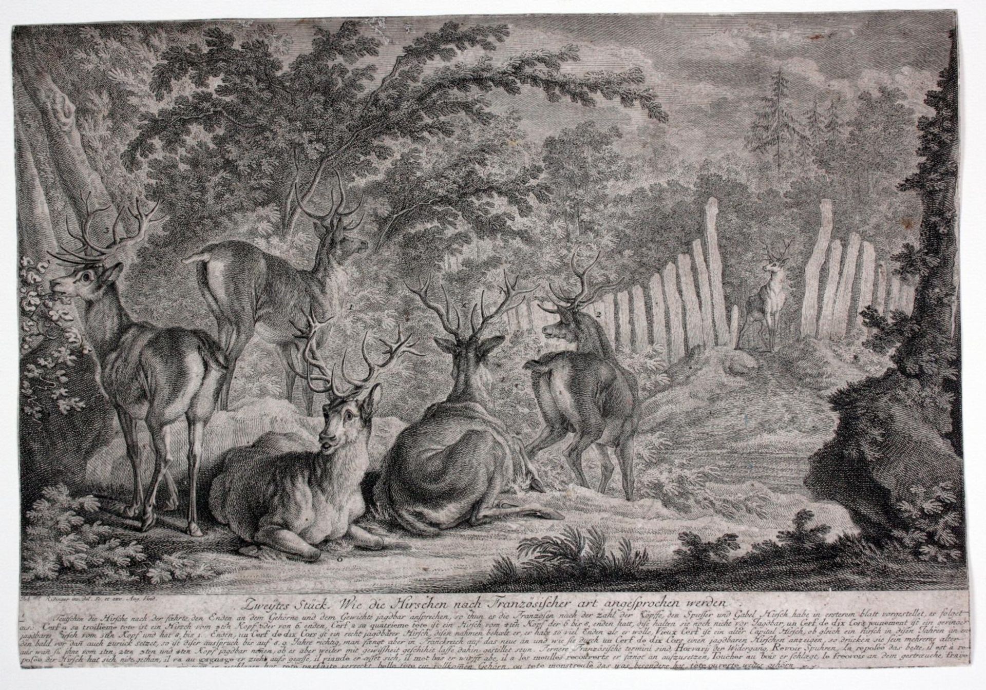 Johann Elias Ridinger (1698-1767). 2 Kupfertische - Bild 3 aus 3