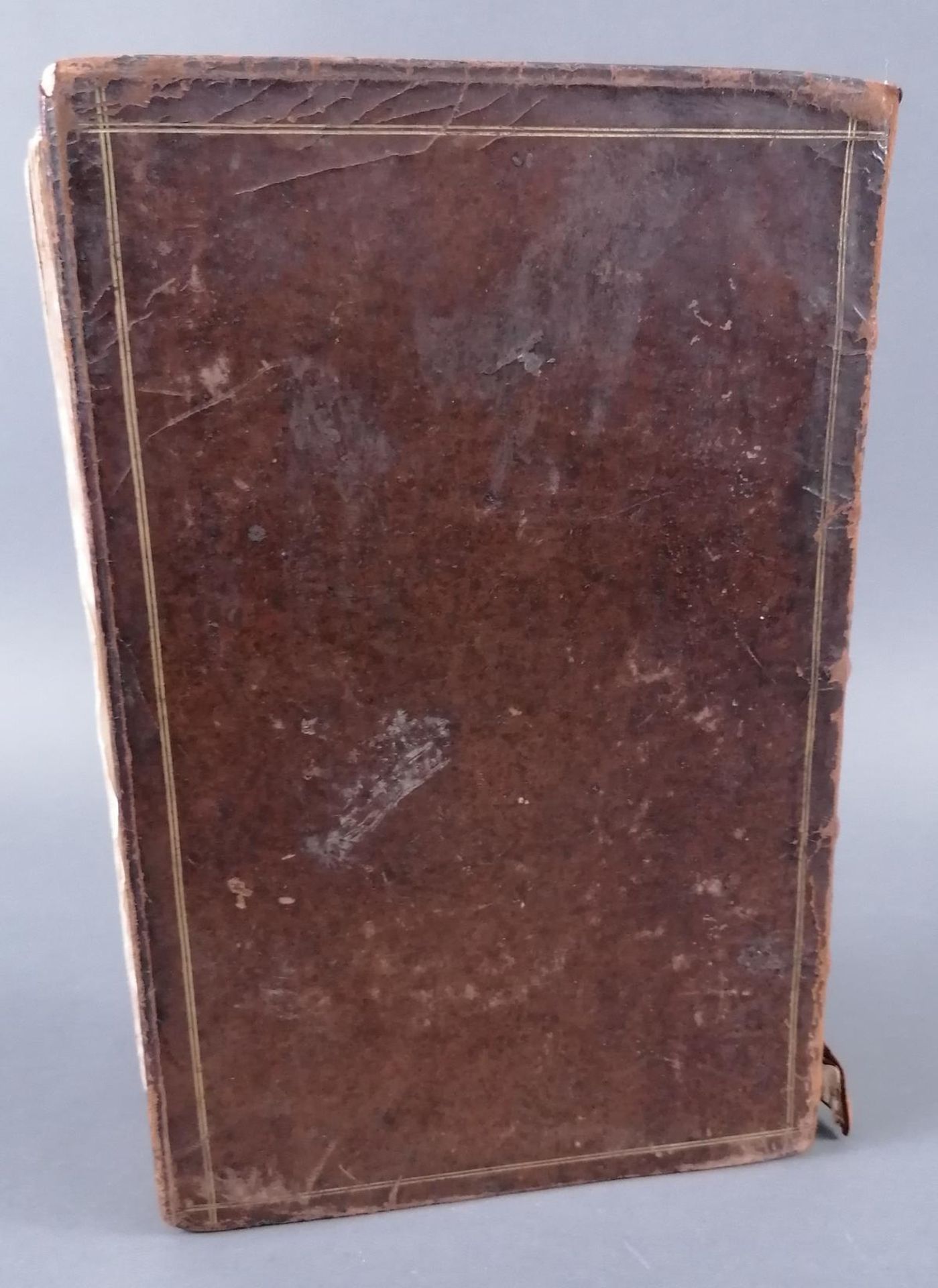 Nieuhofs China-Buch. 1665. (Die Gesandtschaft der Niederländischen Ostindienkompanie an den großen T - Image 26 of 26