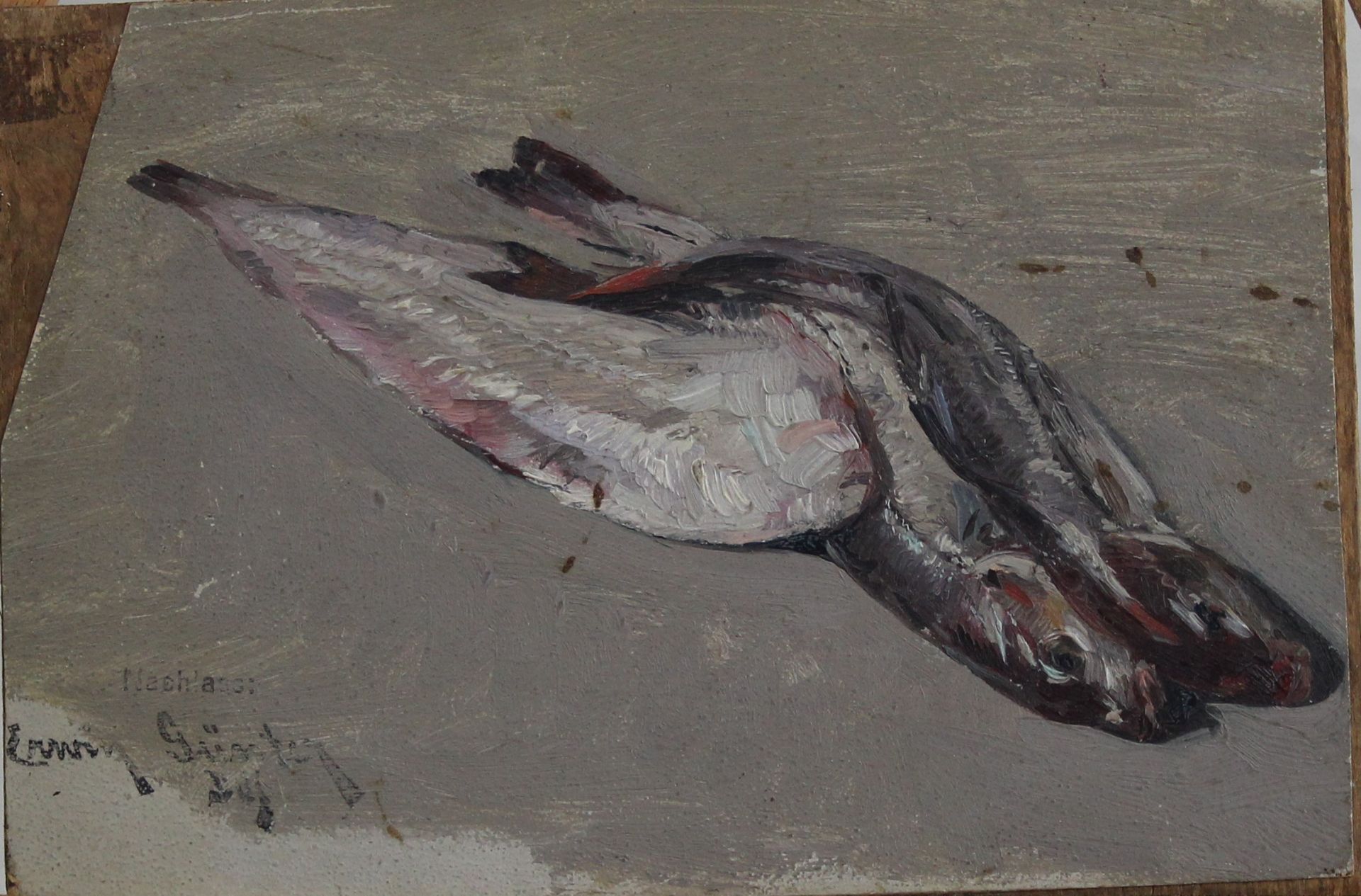 Erwin Günter ( 1864 - 1927 ) " Stillleben mit Fischen "