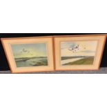 Peter Scott, after, a pair, Birds in Flight, colour prints, 31cm x 37cm (2)