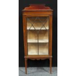 An Edwardian mahogany display cabinet, shaped half gallery above a rectangular top, astro glazed