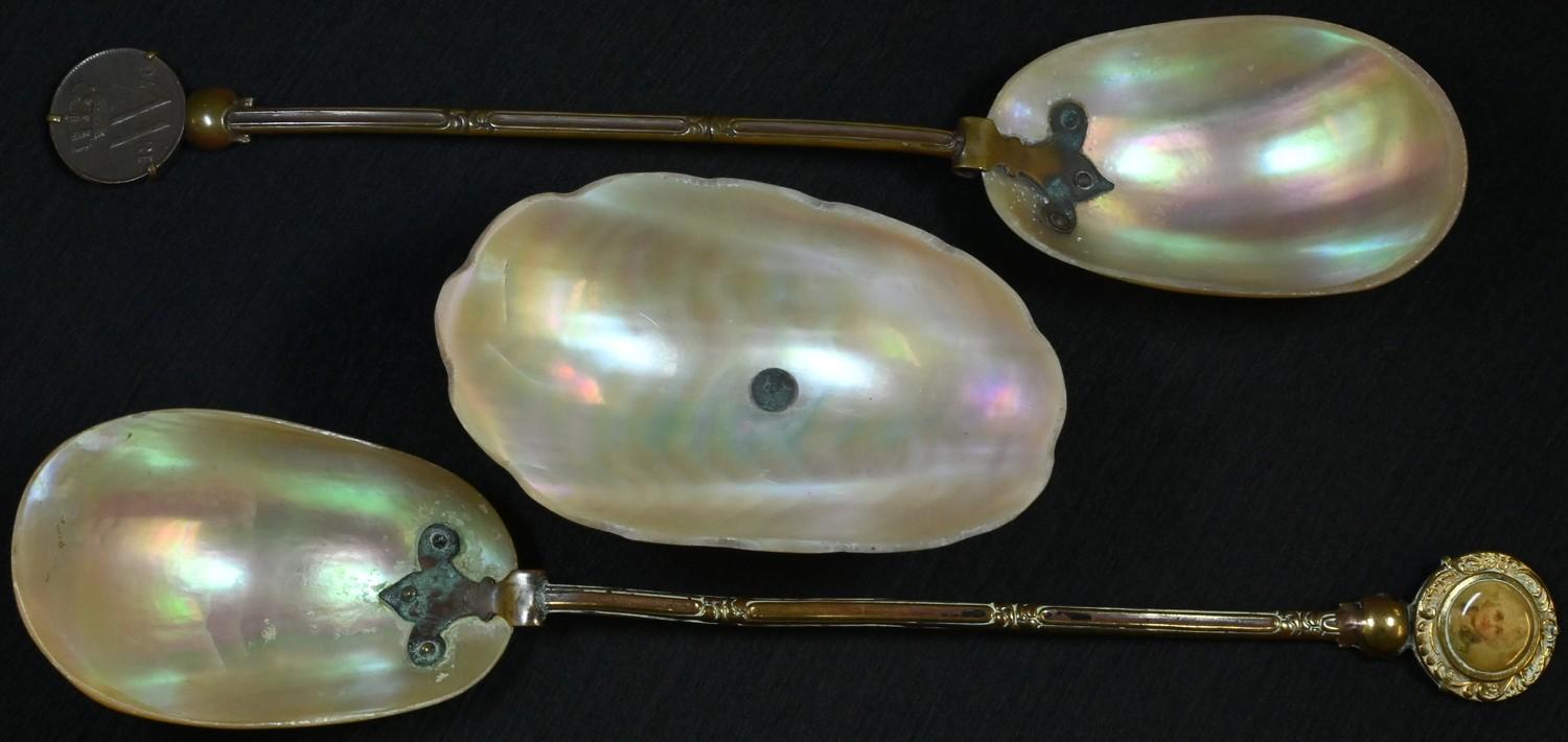 A wunderkammer type mother of pearl spoon, brass stem, the termianl set with a coin dated 1876, 22cm