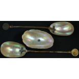 A wunderkammer type mother of pearl spoon, brass stem, the termianl set with a coin dated 1876, 22cm
