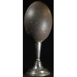 The Wunderkammer - an emu egg, mounted for display, 24cm high overall, the silver base William