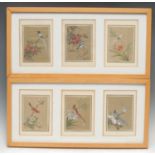 Chinese School A set of six, Ornithological Studies, Of Exotic Birds red seal marks, watercolour and