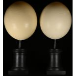 Natural History - a pair of Ostrich eggs (struthio camelus), mounted for display, 28cm high overall