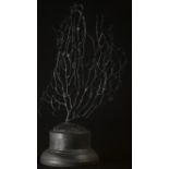 Natural History - a black coral specimen, mounted for display, 22cm high overall