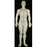 Medical Interest - a didactic rubber acupuncture figure, mapped out in polychrome with Chinese and