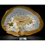 Geology - a large polished transverse agate section, 20cm x 27.5cm