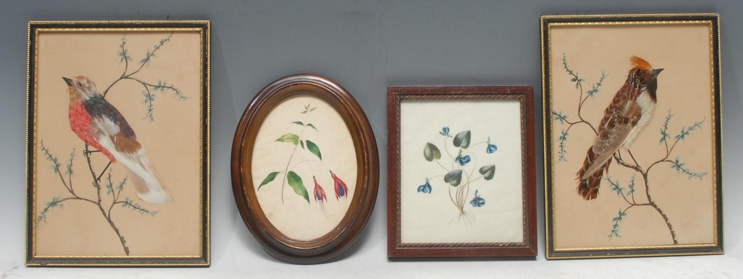 A pair of 19th century ornithological feather pictures, each depicting a colourful bird on a