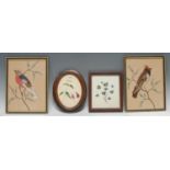 A pair of 19th century ornithological feather pictures, each depicting a colourful bird on a