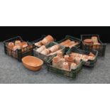 A collection of terracotta garden/conservatory plant pots (quantity)