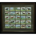 Cigarette Cards - a framed set of Players cigarette cards, Types of Horses