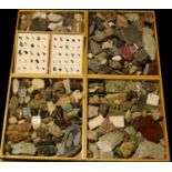 Geology - a collection of geological specimens in four rectangular wooden trays, including