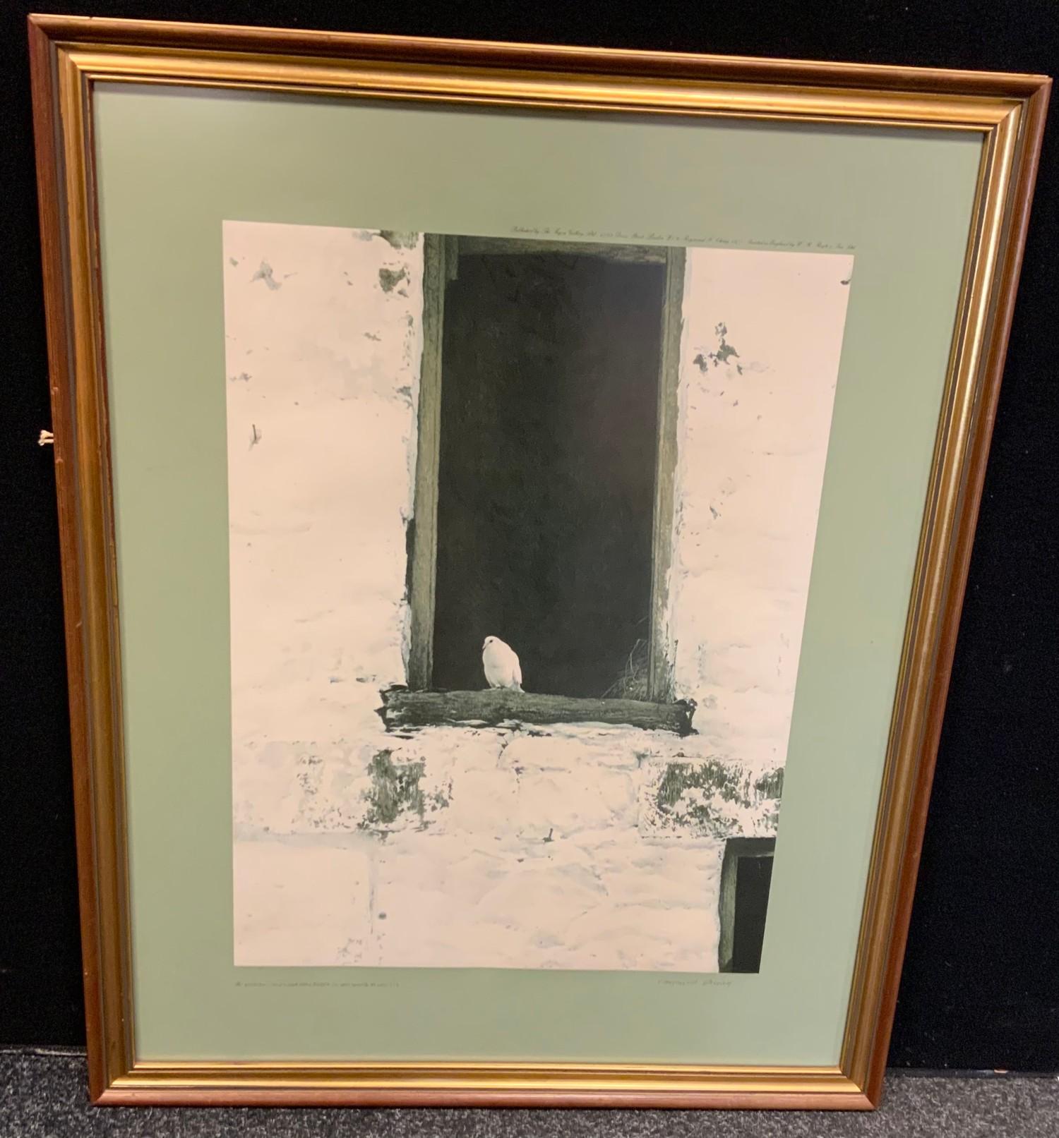 Raymond H Ching (B1939), by and after, Dove in a Window, signed limited edition, 274/500, dated
