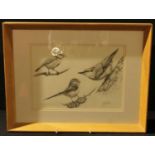 Peter Samson, Ornithological Study, signed, dated 2010, pencil, 19.5cm x 28cm