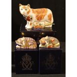 A Royal Crown Derby paperweight, Sugar the Cat, Collector's Guild exclusive, gold stopper, boxed;