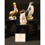 A Royal Crown Derby paperweight, Rockhopper Penguin, gold stopper, certificate, boxed; others,