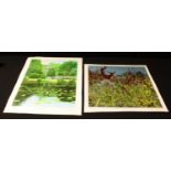 Pictures and Prints - Arthur Byrne, Alton Towers, coloured lithograph, unmounted, titled, signed