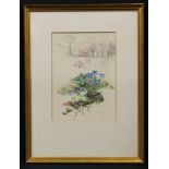 Marjorie Blamey Gentian, Cow Green Reserve, Teesdale signed, watercolour, 31.5cm x 22.5cm