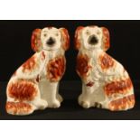 A pair of 19th century Staffordshire mantel models, of spaniels, typically picked-out, 25.5cm high