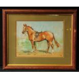 English School (mid 20th century) Kim, Chestnut Horse (sketch for portrait) indistinctly signed,