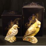 A Royal Crown Derby paperweight, Citron Cockatoo, gold stopper, boxed; another, Song Thrush, gold