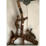 Taxidermy - a squirrel on a branch; others This lot must be collected from S44 5SU on Friday 23/4/21