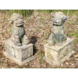 A pair of reconstituted stone Lions of Fo. 80cm high. This lot must be collected from S44 5SU on