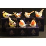 A Royal Crown Derby paperweight, Long Tail Tit, gold stopper, boxed; others, Royal Robin,