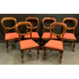 A set of six Victorian mahogany balloon back dining chairs, drop-in seats, turned forelegs.(6)