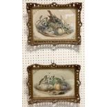 A pair of of hand coloured Paul Jarrard ornithological lithographs, pierced gilt frames (2)