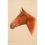Trudy Friend Wessex Knight, Chestnut Horse signed, dated 1975, watercolour, 35cm x 23cm