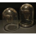 A near pair of glass display domes, each approx. 28cm high x 21cm diameter; a circular hardwood
