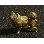 An Austrian cold painted bronze, of a dog, 3.5cm long, Vienna c.1900