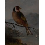 E M Edmonds (19th century) Ornithological Study, A Finch in a Landscape signed, oil on board, 13cm x
