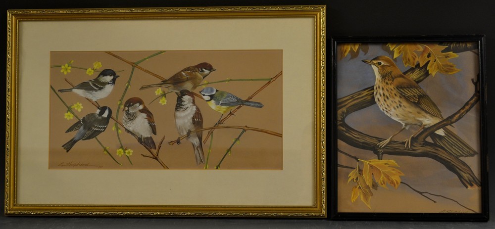 Eric Shepherd Garden Birds signed, dated 77, watercolour and gouache, 21cm x 42cm; another (2)